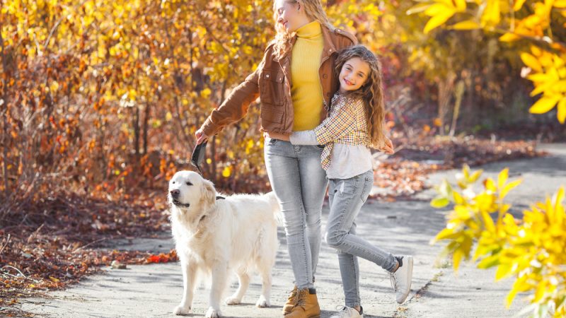 Hip dysplasia