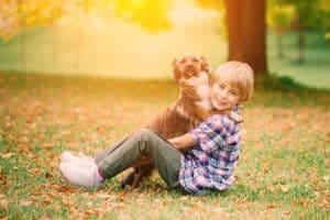 The type of owner a dog desires is someone who is loving, patient, and committed to their well-being.