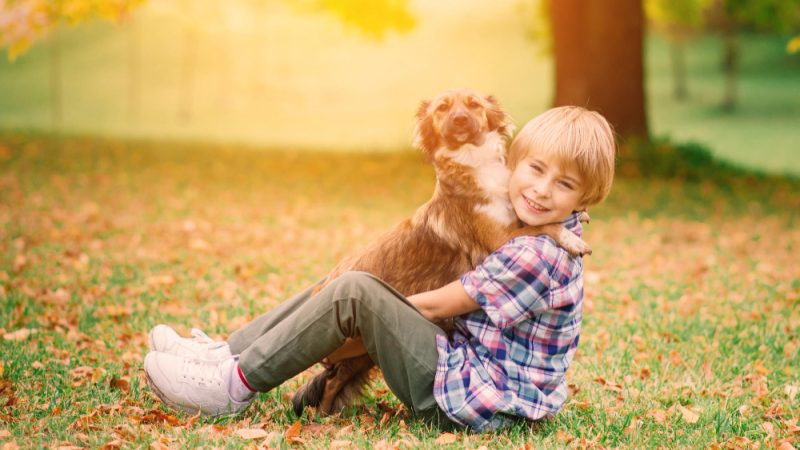The type of owner a dog desires is someone who is loving, patient, and committed to their well-being.