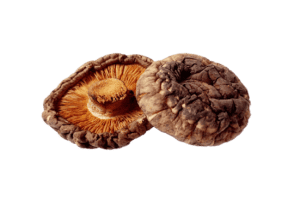 Shiitake known for its immune-boosting benefits in dogs
