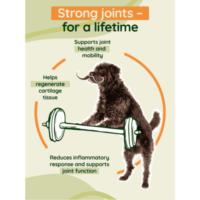 K9 INUFlex® supports joints and cartilage, helps with dysplasia and arthritis, and maintains mobility in dogs