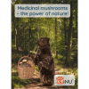 Energetic, healthy dog supported by K9 INU® – daily immune and vitality booster