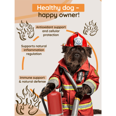 K9 INU® supports immunity, helps fight cancer