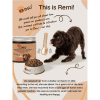 Our dog, Remi who is healthy because of this product