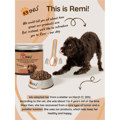 Our dog, Remi who is healthy because of this product