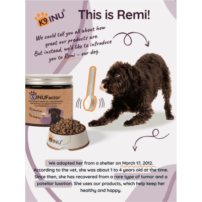 Our dog, Remi who is healthy because of this product