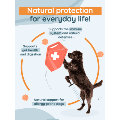 K9 INUExtra® supports dogs with allergies, cancer, digestive issues, and overall immune system health
