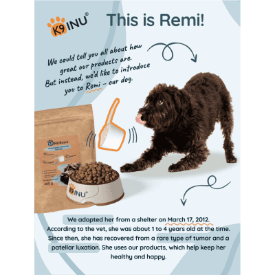 This is Remi, our dog, who enjoys our products every day and is healthier than ever.