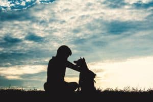 Having a dog means daily responsibility, unconditional love, and a loyal companion by your side.