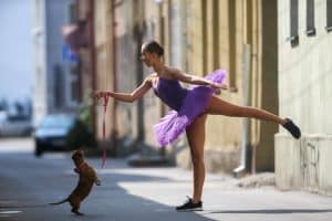 Dog dancing combines obedience, tricks, and rhythm to create a joyful performance between dog and owner.