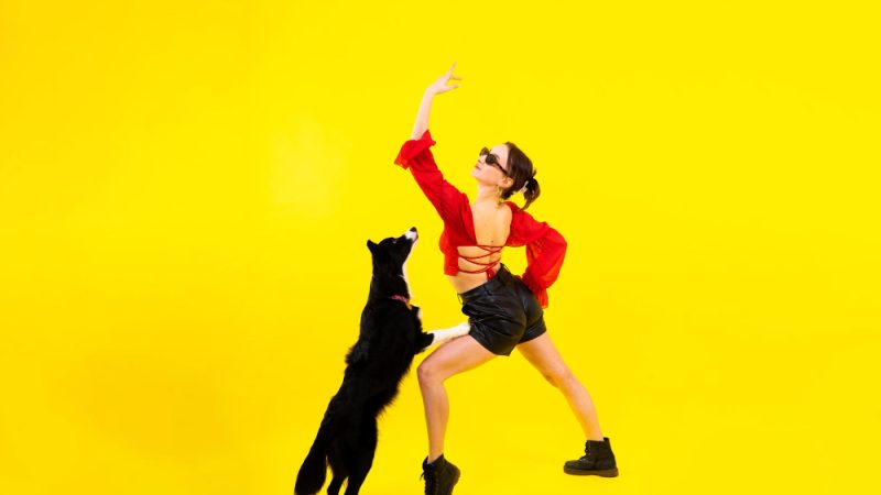 Dog dancing is a fun and expressive activity that showcases the harmony between dog and handler through music and movement.