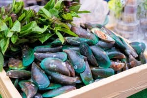 Green-lipped mussel is a natural supplement for dogs that supports joint health and reduces inflammation.