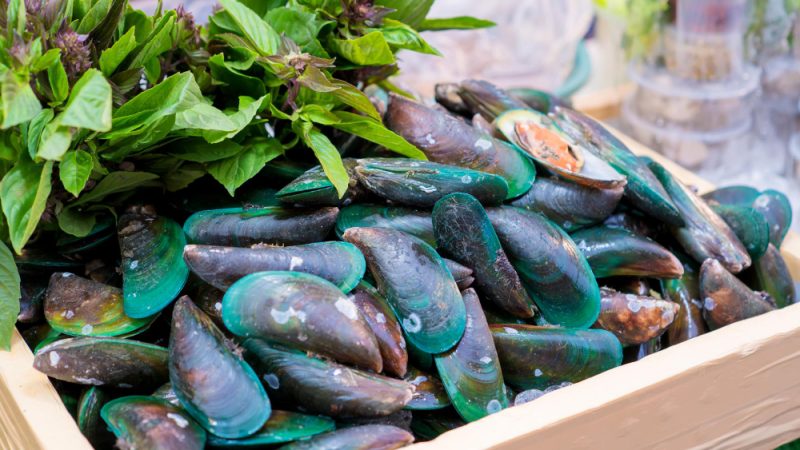Green-lipped mussel is a natural supplement for dogs that supports joint health and reduces inflammation.
