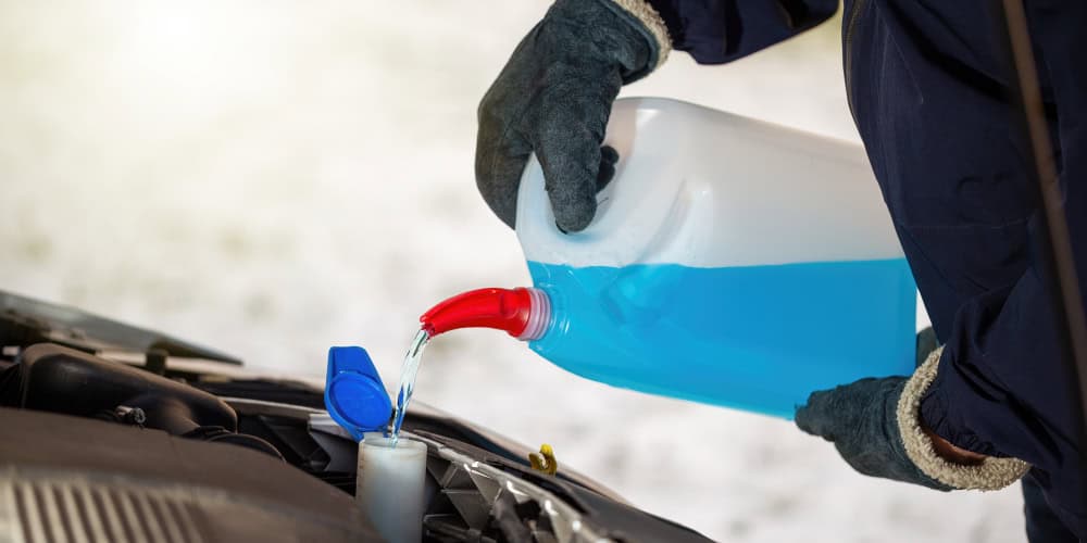 Antifreeze Poisoning in Dogs