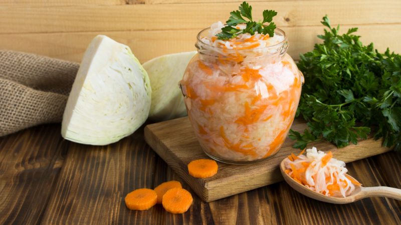 probiotics for dogs