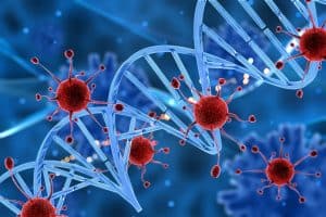 Immune cells targeting cancer cells in a dog's body during immunomodulatory therapy