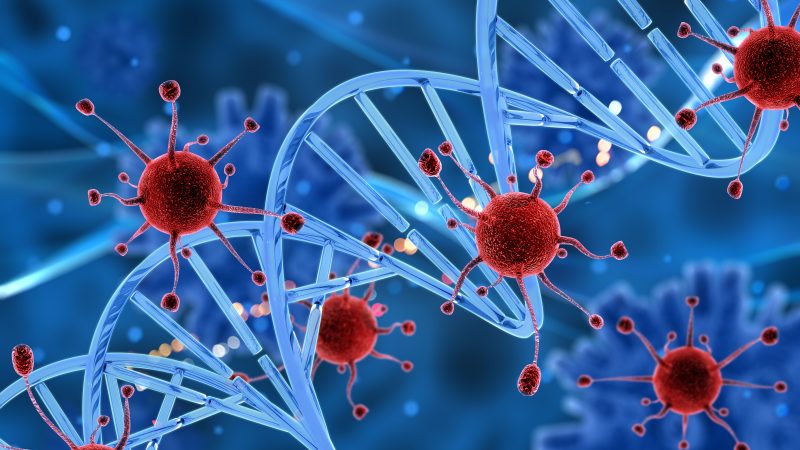 Immune cells targeting cancer cells in a dog's body during immunomodulatory therapy