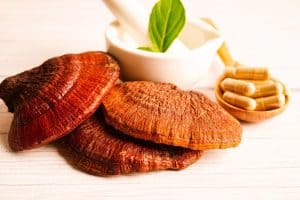 Reishi mushroom for dogs – ganoderma (reishi) medicinal mushroom with capsules and mortar.