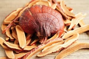 Reishi mushroom for dogs – ganoderma (reishi) medicinal mushroom slices and fruiting body.