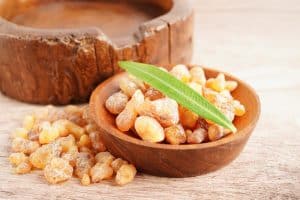Boswellia serrata resin used as a natural anti-inflammatory for dogs' joint health.
